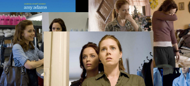 A collage of images from Sunshine Cleaning (2008) starring Amy Adams and Emily Blunt
