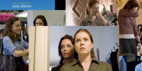 A collage of images from Sunshine Cleaning (2008) starring Amy Adams and Emily Blunt