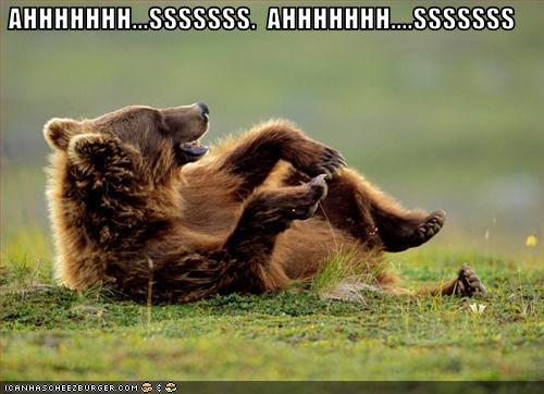 A large brown bear lays on his back in a green clearing. The text on the image reads: AHHHHHHH...SSSSSSS. AHHHHHHH....SSSSSSS