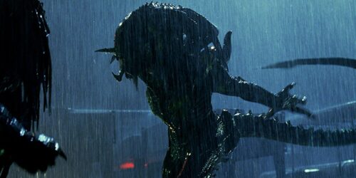 Alien fighting Predator in the rain at night in this frame from Aliens vs Predator: Requiem