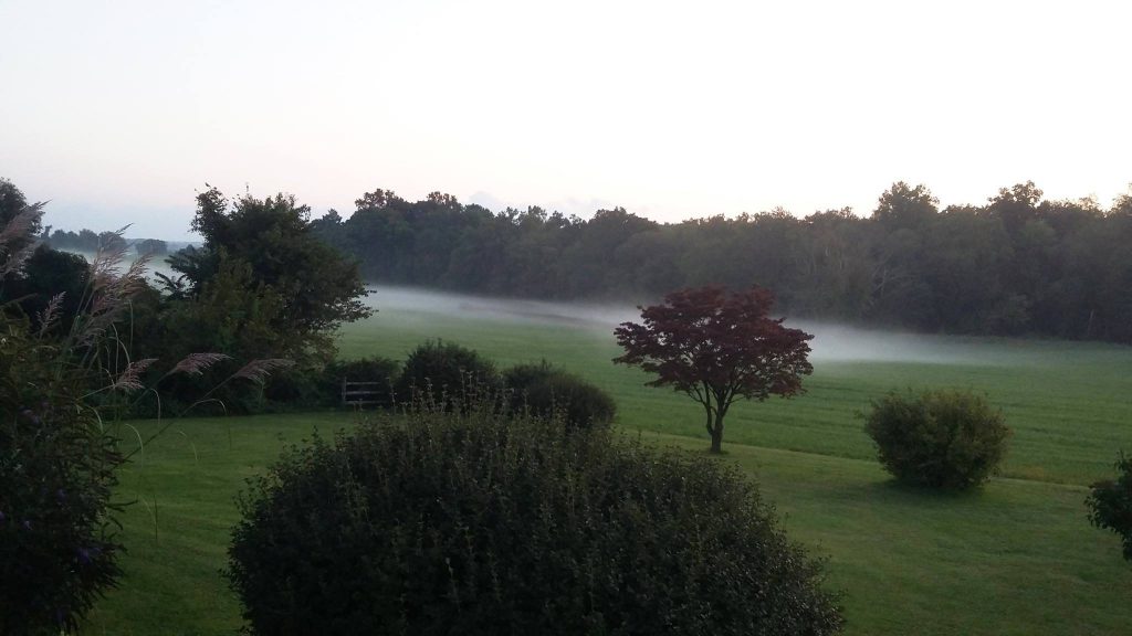 Our backyard in Maryland around dusk in late September 2017. In the distance, beyond our backyard and its shrubs and trees on a recently mowed lawn, low mist begins to form over a field of green grass.