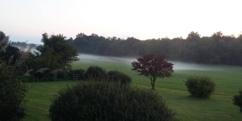 Our backyard in Maryland around dusk in late September 2017. In the distance, beyond our backyard and its shrubs and trees on a recently mowed lawn, low mist begins to form over a field of green grass.